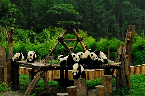 卧龙世界生物圈保护区